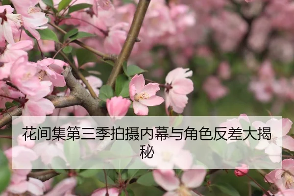 花间集第三季拍摄内幕与角色反差大揭秘