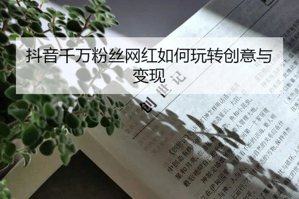 抖音千万粉丝网红如何玩转创意与变现