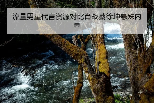 流量男星代言资源对比肖战蔡徐坤悬殊内幕